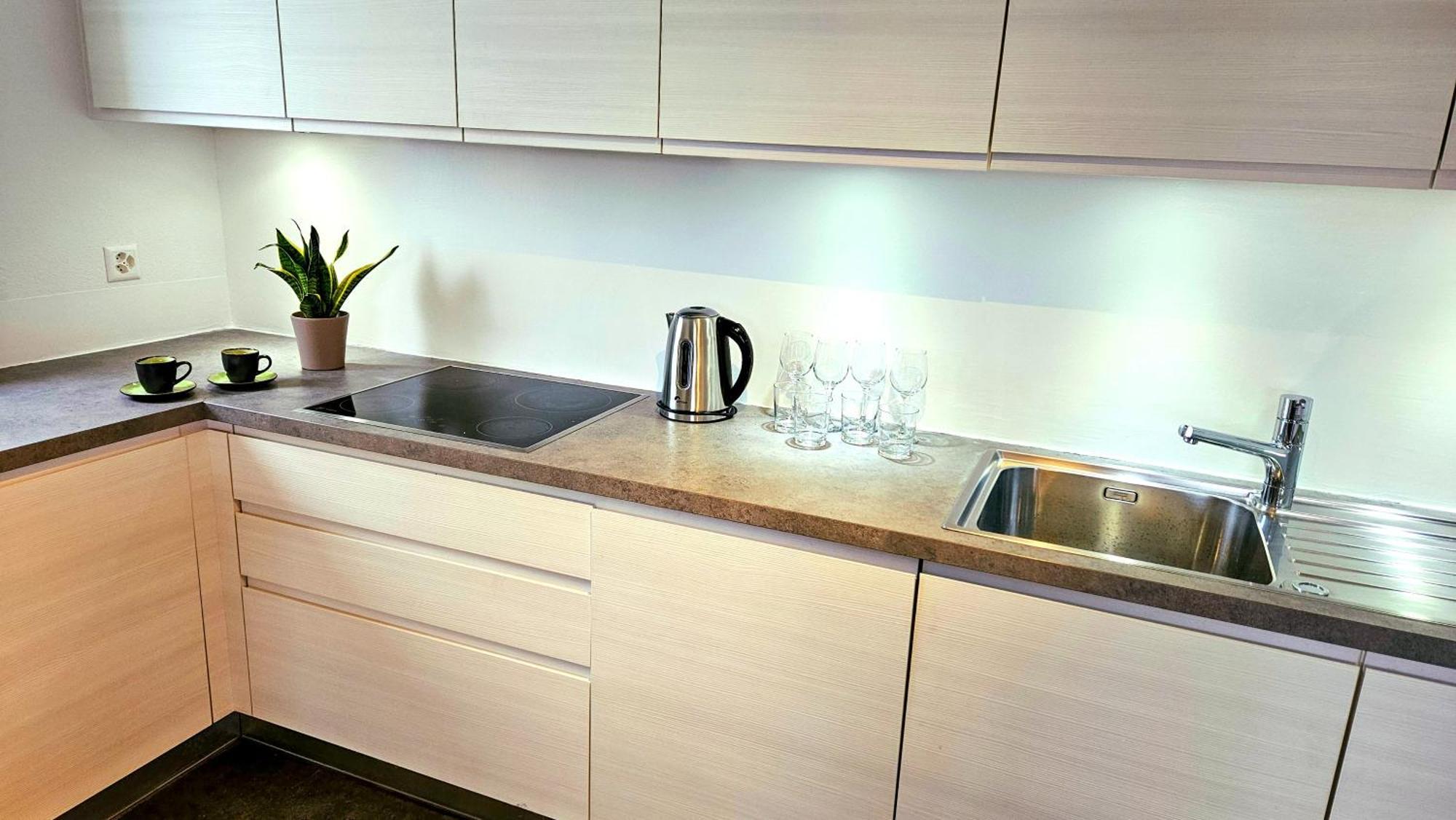 Bellavista Apartment With Free Parking Lugano Exterior foto